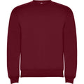 Front - Roly Childrens/Kids Clasica Crew Neck Sweatshirt