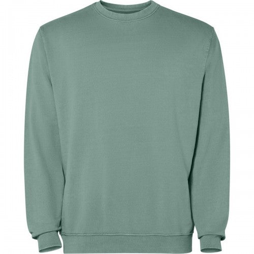 Front - Roly Unisex Adult Jaya Crew Neck Sweatshirt