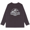 Front - Jurassic World Childrens/Kids Logo Long-Sleeved T-Shirt