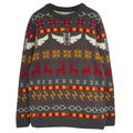 Front - Harry Potter Boys Icons Fair Isle Knitted Christmas Jumper
