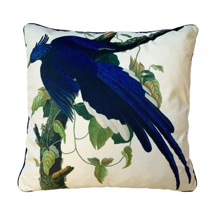 Front - John James Audubon Columbia Jay Filled Cushion