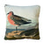 Front - John James Audubon Red-Breasted Sandpiper Filled Cushion
