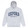 Front - University Of Oxford Unisex Adult Text Hoodie