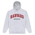 Front - Harvard University Unisex Adult Script Hoodie