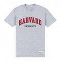 Front - Harvard University Unisex Adult Est 1636 T-Shirt