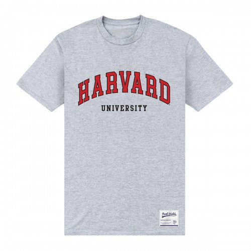 Front - Harvard University Unisex Adult Est 1636 T-Shirt