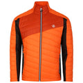 Front - Dare 2B Mens Descending Padded Jacket