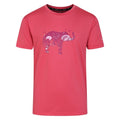 Front - Regatta Childrens/Kids Amuse II Bike T-Shirt