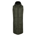 Front - Dare 2B Womens/Ladies Distinguish Gilet
