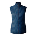Front - Dare 2B Womens/Ladies Altimeter II Gilet