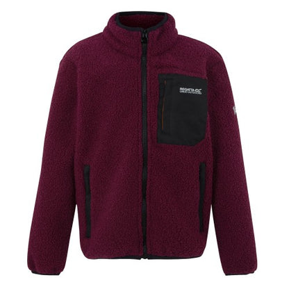 Front - Regatta Childrens/Kids Frankie Full Zip Fleece Jacket