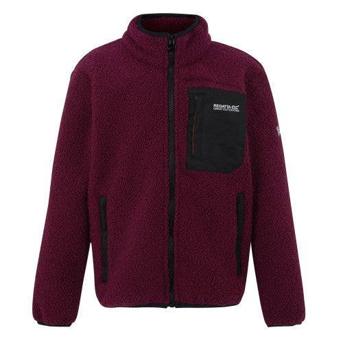 Front - Regatta Childrens/Kids Frankie Full Zip Fleece Jacket