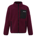 Front - Regatta Childrens/Kids Frankie Full Zip Fleece Jacket