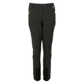 Front - Regatta Womens/Ladies Mountain Walking Trousers