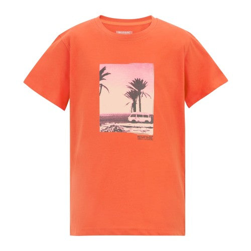 Light Sage - Front - Regatta Childrens-Kids Bosley Palm Tree T-Shirt