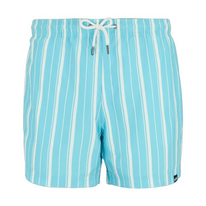 Front - Regatta Mens Loras Stripe Swim Shorts