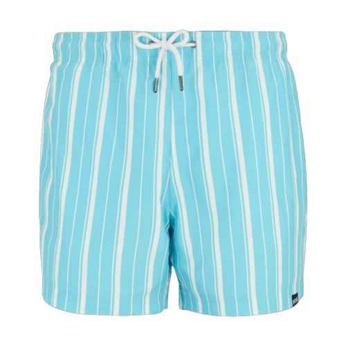 Front - Regatta Mens Loras Stripe Swim Shorts