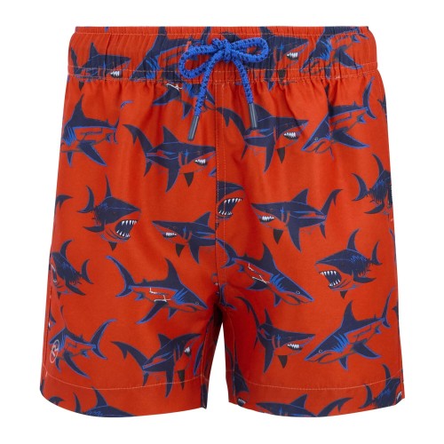 Front - Regatta Boys Skander Shark Swim Shorts