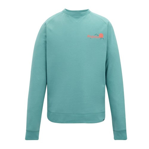 Front - Regatta Mens Nithsdale Back Print Sweatshirt