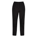 Front - Regatta Womens/Ladies Highton Walking Over Trousers