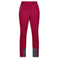 Front - Regatta Womens/Ladies Mountain III Walking Trousers