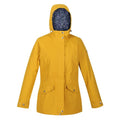 Front - Regatta Womens/Ladies Brigida Waterproof Jacket