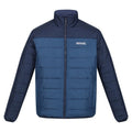 Ash-Black - Front - Regatta Mens Andrell Contrast Quilted Padded Jacket