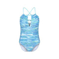 Front - Regatta Womens/Ladies Halliday Brush Stroke One Piece Swimsuit