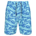 Front - Regatta Mens Hamza Palm Print Swim Shorts