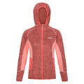 Front - Regatta Womens/Ladies Walbury III Full Zip Fleece Jacket