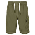 Front - Regatta Mens Hotham IV Swim Shorts