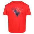 Front - Regatta Childrens/Kids Alvarado VI Mountain T-Shirt