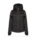 Front - Dare 2B Womens/Ladies Ski Jacket