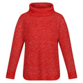 Front - Regatta Womens/Ladies Kensley Marl Knitted Jumper