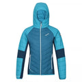 Front - Regatta Womens/Ladies Trutton Lightweight Padded Jacket