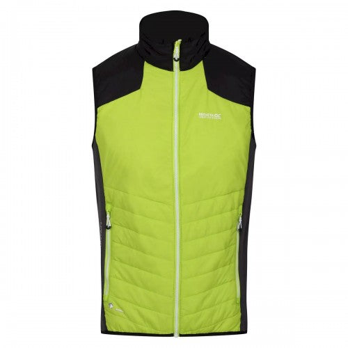 Front - Regatta Mens Halton VI Lightweight Body Warmer