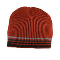 Mineral Grey - Front - Regatta Mens Balton IV Striped Beanie