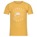Front - Regatta Childrens/Kids Bosley VI Sunset T-Shirt