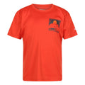 Front - Regatta Childrens/Kids Alvarado VII Sunset T-Shirt