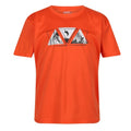 Front - Regatta Childrens/Kids Alvarado VII Triangle T-Shirt