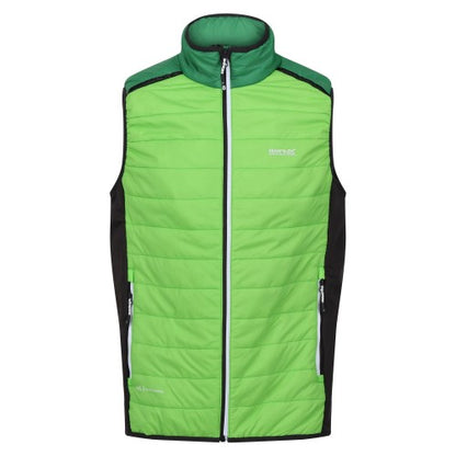Front - Regatta Mens Halton Baffled VII Colour Block Padded Gilet