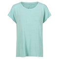 Front - Regatta Womens/Ladies Bannerdale Smart Temperature T-Shirt