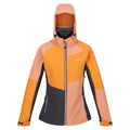 Front - Regatta Womens/Ladies Desoto IX Soft Shell Jacket