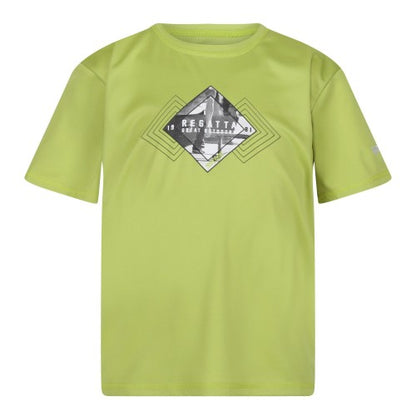 Front - Regatta Childrens/Kids Alvarado VII Established T-Shirt