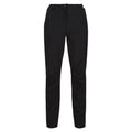 Front - Regatta Womens/Ladies Dayhike IV Hiking Trousers