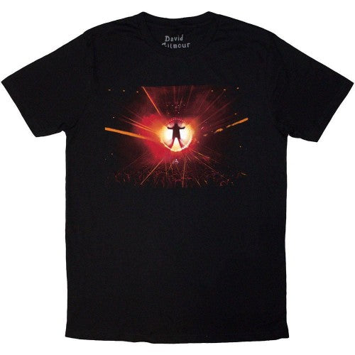 Front - David Gilmour Unisex Adult Luck & Strange Stage Shot Back Print T-Shirt