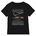 Front - Pink Floyd Unisex Adult Assorted Lunatics T-Shirt