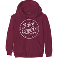 Front - Alice In Chains Unisex Adult Circle Logo Pullover Hoodie