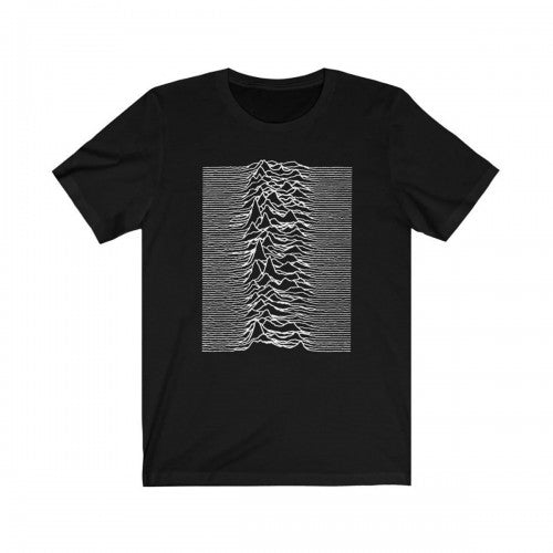 Front - Joy Division Unisex Adult Unknown Pleasures Back Print T-Shirt