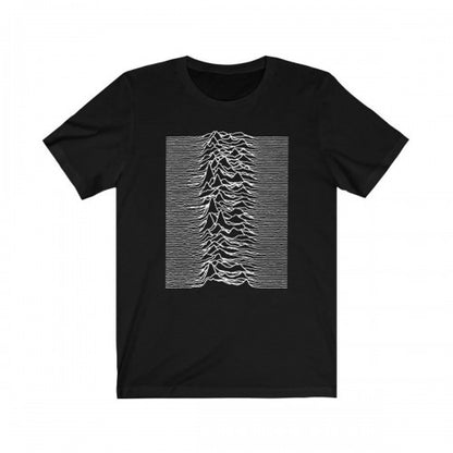 Front - Joy Division Unisex Adult Unknown Pleasures Back Print T-Shirt